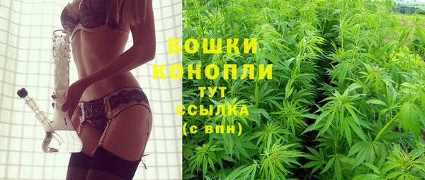гашик Зеленокумск