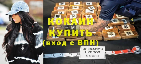 гашик Зеленокумск