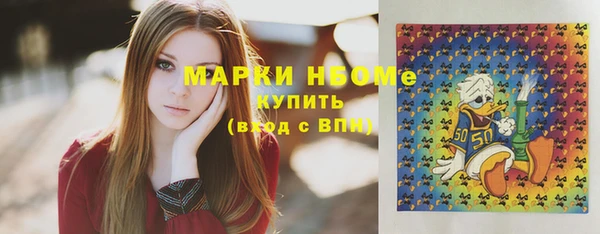 гашик Зеленокумск