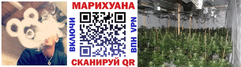 Купить закладки  Серов  Конопля сатива 